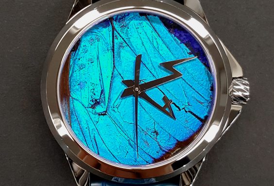 Blue Butterfly Watch