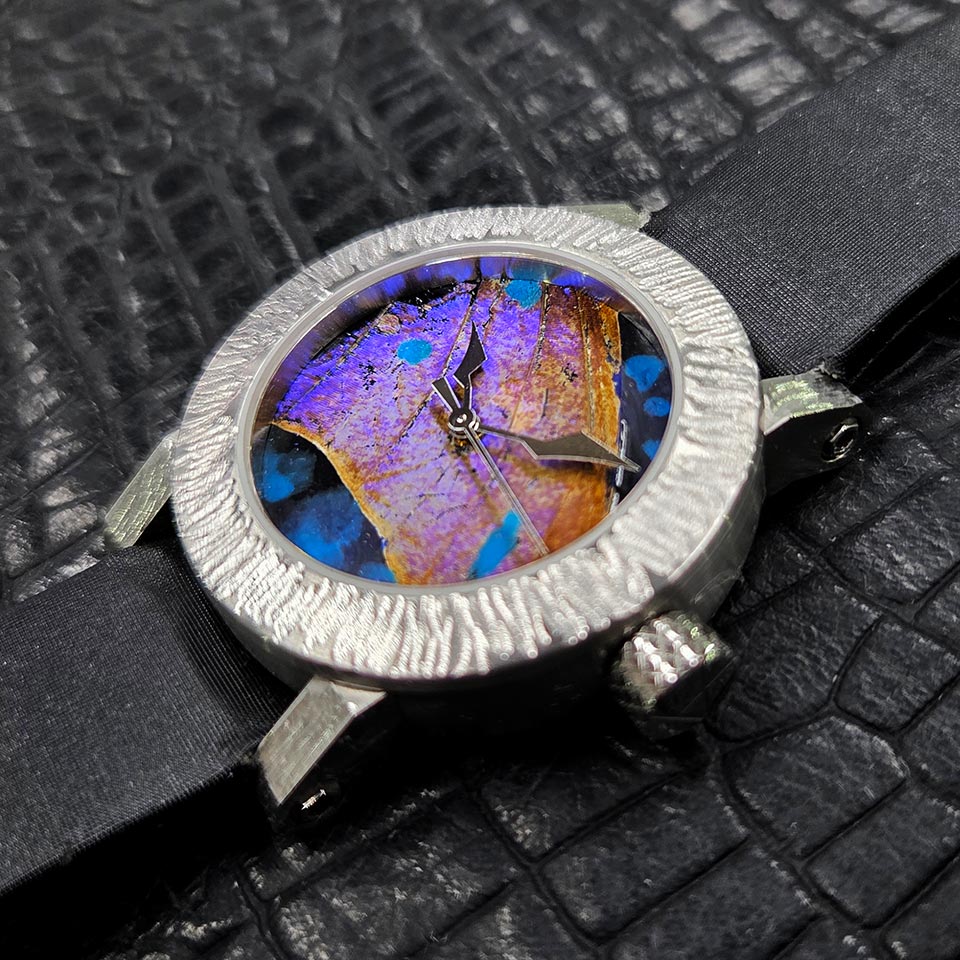 モルフォ蝶の美しいダイアル