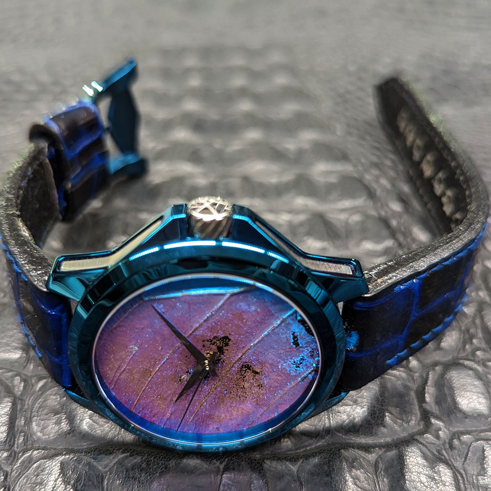 ArtyA Butterfly Blue Lagoon 7